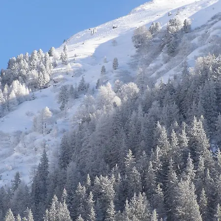 Апартаменты Piz Arina *