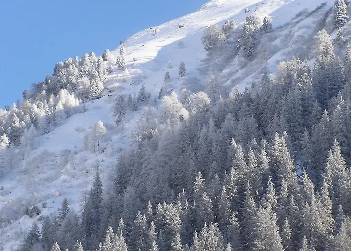 Apartmán Piz Arina Inklusiv Premium - Card *